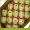 China golden apple fruit fresh